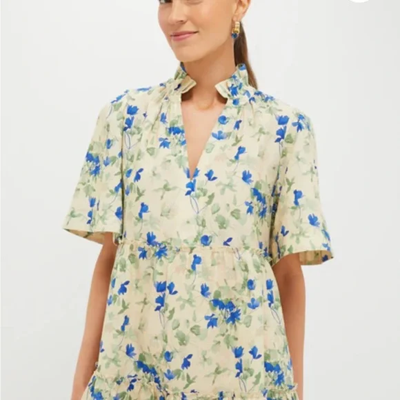 Tuckernuck Blue and Cream Floral Dress - Picture 2 of 2